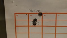  Federal 225 Grain 338 Win Mag Target