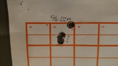  Federal 225 Grain 338 Win Mag Target