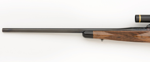  308 Winchester Forend