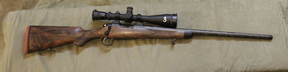  Avani 6.5 Creedmor with Personalized Logo on Scope