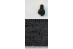 Thumb img 8351