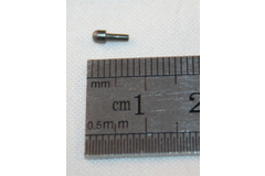 Thumb img 9900