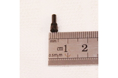 Thumb img 2566