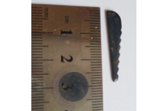 Thumb img 20210316 125831593