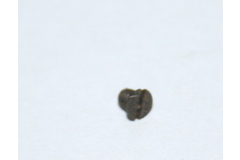 Thumb img 3108