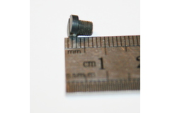 Thumb img 3553